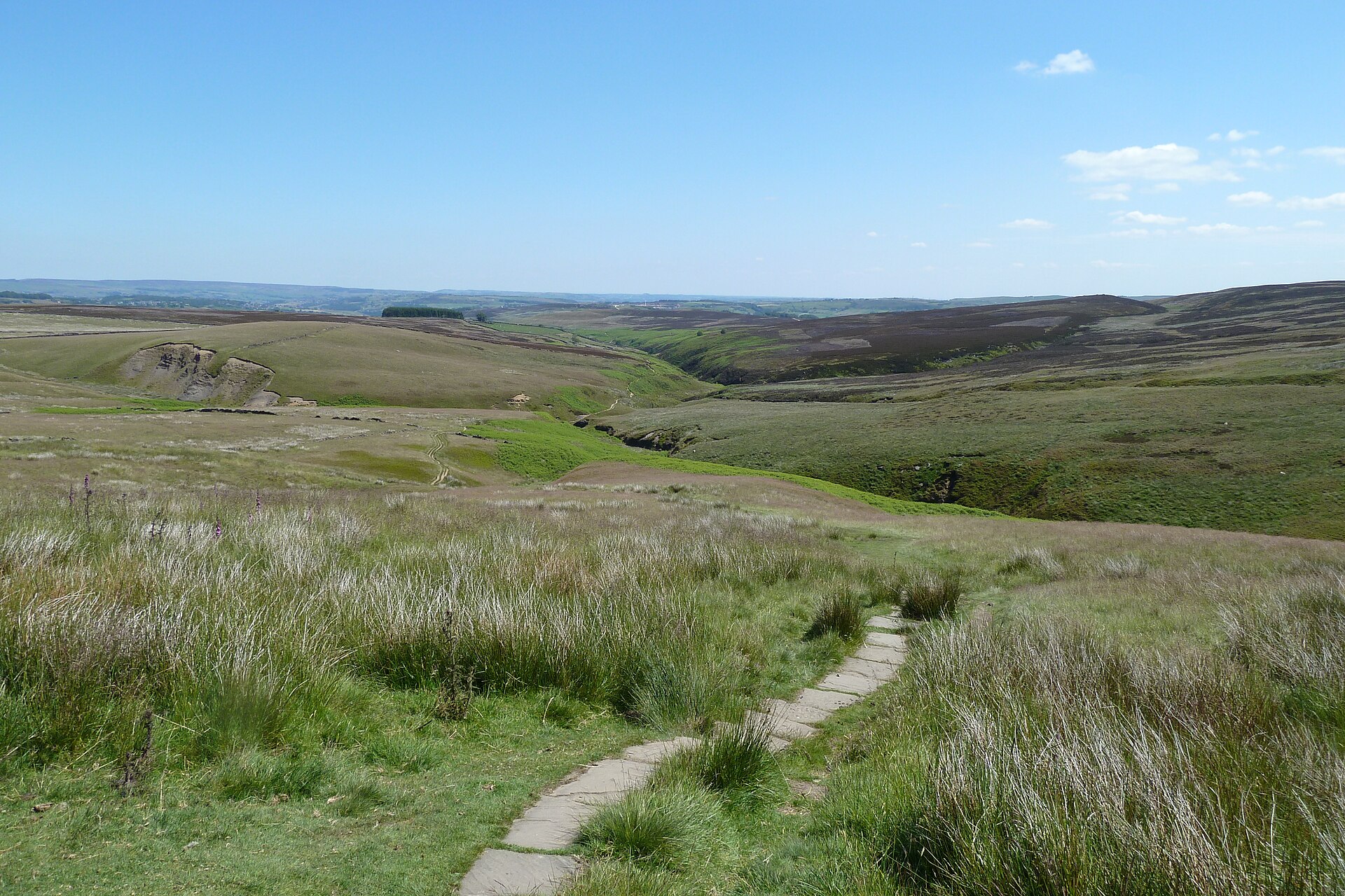 The Brontë Moors